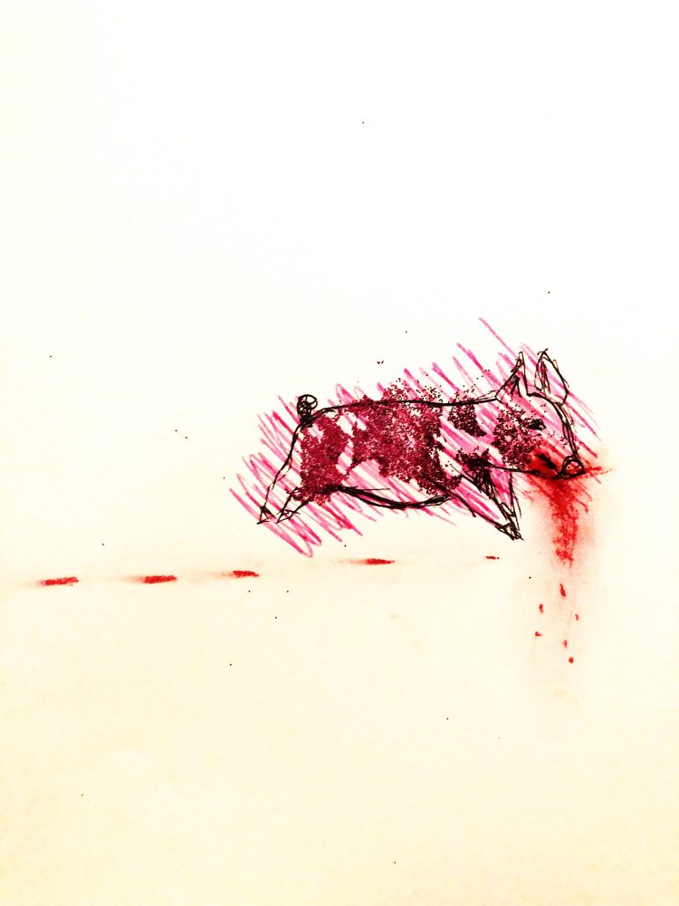 Line drawing of a pig running. Behind the pig are red spots. Pink dashes color the pig outside the lines. Red mark coming off of the moth and pink glitter patches on the body.