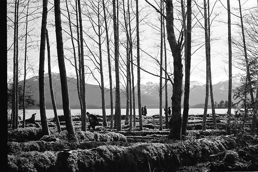 Black and white image of bare trees, people dispersed among them, water and mountains in background