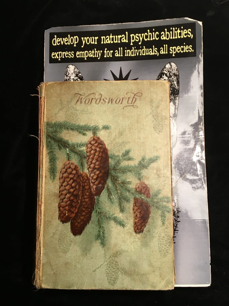 Poems of Wordsworth, now with a postcard advertising "develop your natural psychic abilities, express empathy for all individuals, all species" used as a bookmark. 