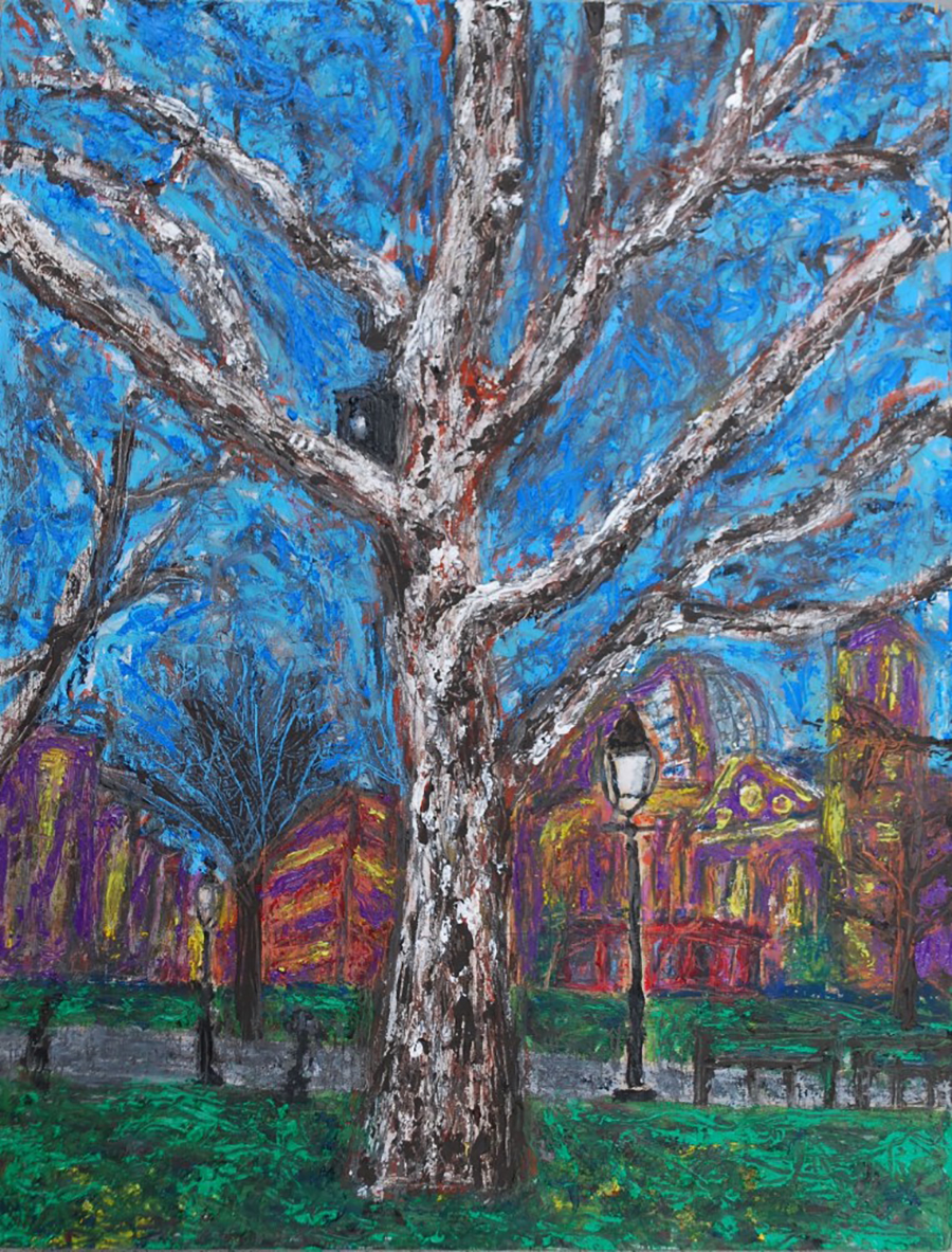 Drawing of a small park area, with a large tree. 
