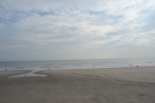A view of the beach.