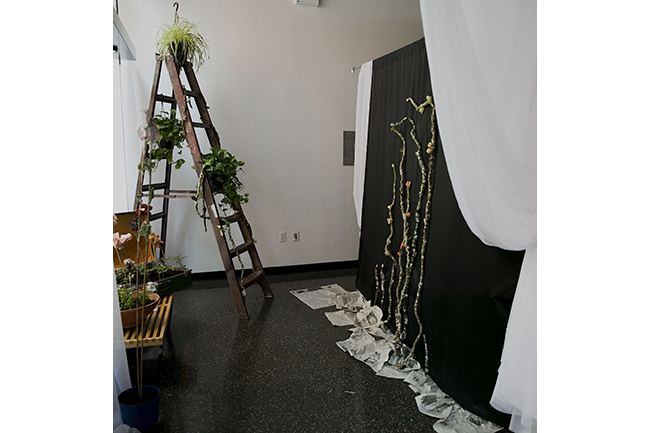 A small room, enclosed by large black and white sheets, with a ladder in a corner, some plants on s few of the rungs. 