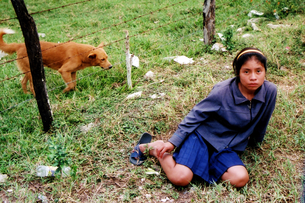 A young girl gazing toward the camera; a dog (behind a fence next to her) sniffing the ground. 