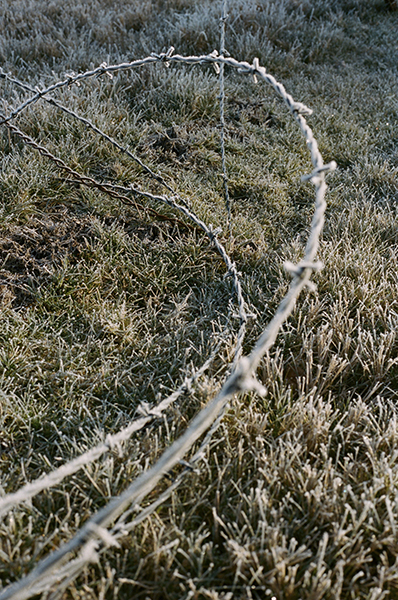 View of barbed wire in an otherwise open field. 
