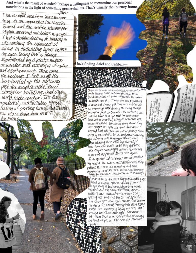 A collage of two journal entries about NYC and waterbirds, as well as various images of embracing and spending time outdoors.