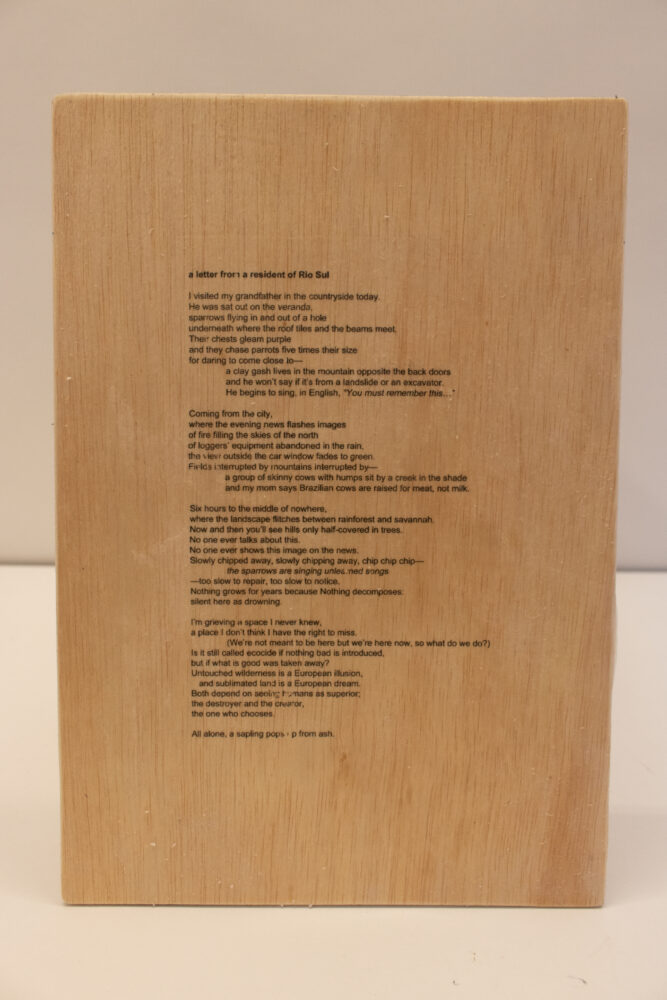 Wood panel with the author's "A Letter From a Resident of Rio Sul" printed on with black ink. 