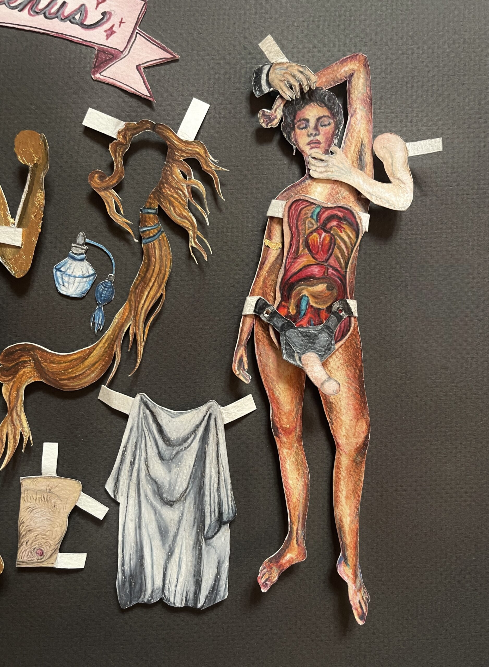 Image shows a detailed shot of the art work in which a drawing of a human's internal organs and strap on penis have been imposed on top of a drawing of a posed female figure.