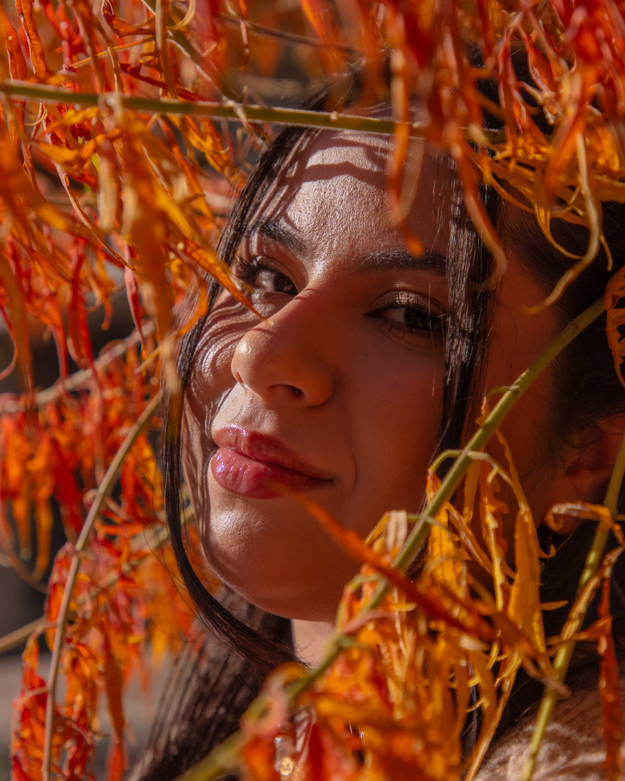 In the photograph, a woman with dark hair tilts her face upwards while her eyes look directly into the camera. Orange foliage surrounds her face, with sunlight highlighting her features. She wears lip gloss, and the interplay of light and shadows creates a vivid texture across the image.
