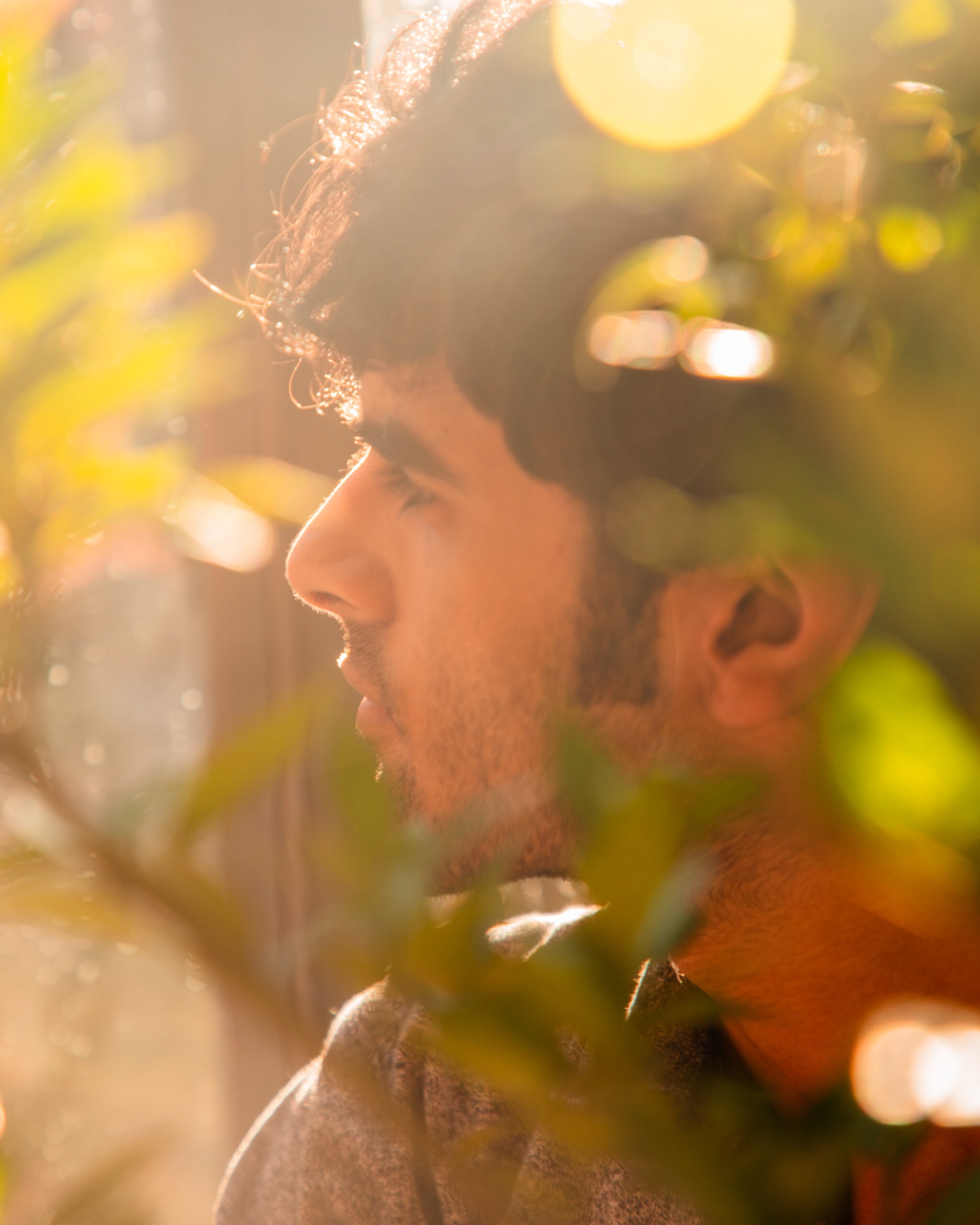 The photo features a man in profile with sunlight filtering through the leaves, casting a warm glow and creating a bokeh effect around him. The man has brown hair, and the sun highlights the contours of his face. The lush greenery partially obscures him, giving the image a natural, serene feel
