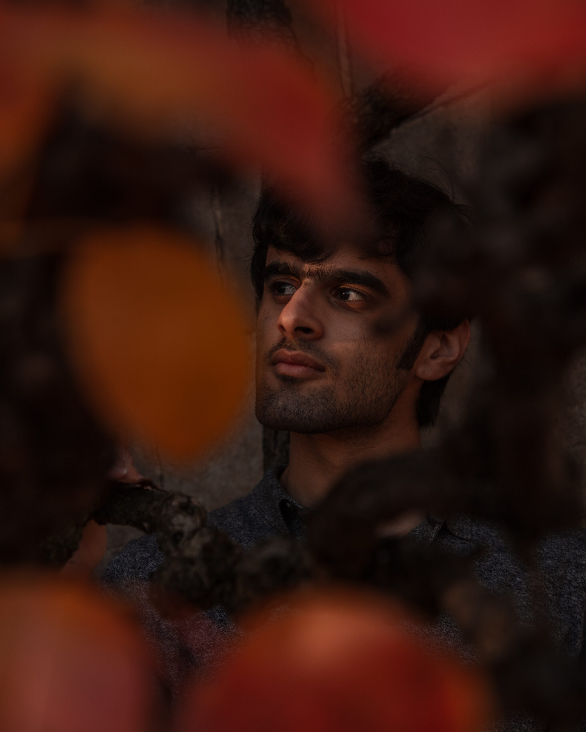 The photo shows a man with dark curly hair and a beard, his gaze directed off to the side. The foreground features out-of-focus orange leaves, creating a frame around his face. The man is wearing a grey shirt, and the background has a muted tone, putting emphasis on his face