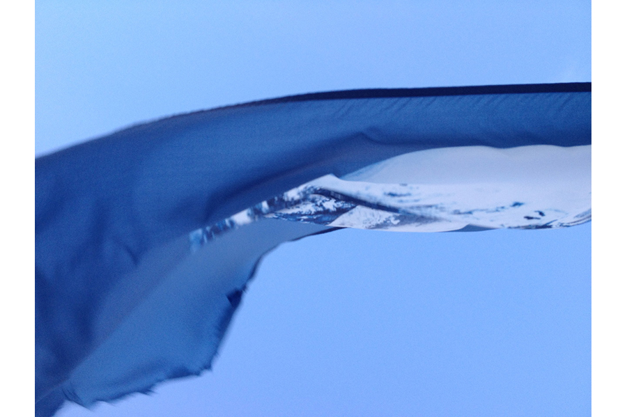 Close-up of an Earth flag flying in the wind, the plant obscured by the flag's folds. 