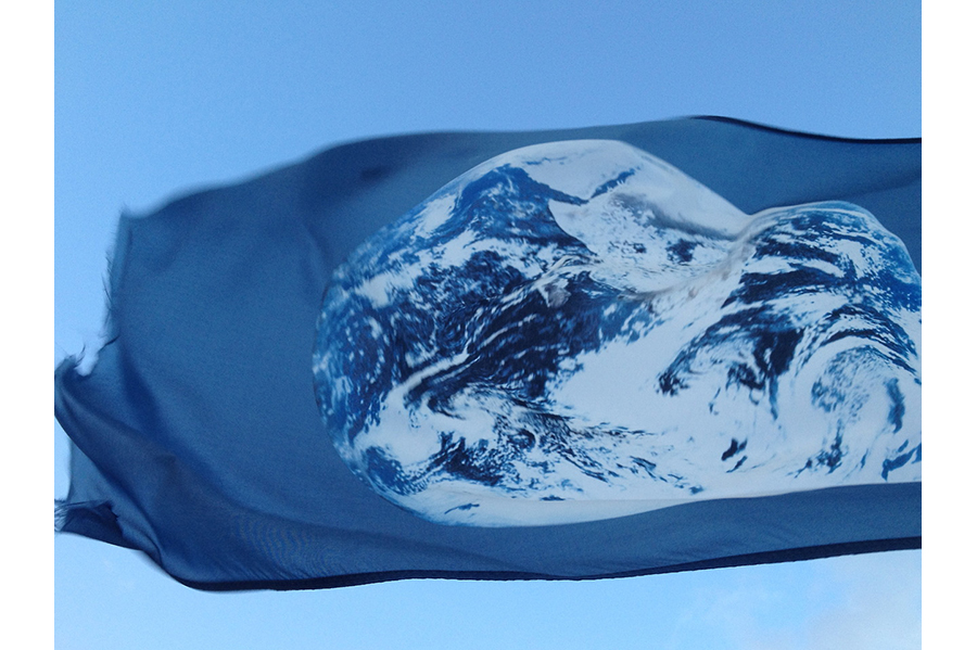 Close-up of an Earth flag flying in the wind, the plant in full view. 