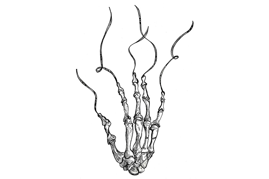 Skeletal hand with long tendrils extending from the fingertips. 