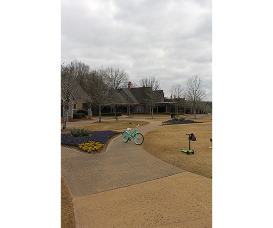 A teal bicycle rests unattended in part of the path, flower beds to the left, cottages in the background
