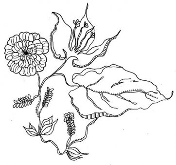 Flower drawings.
