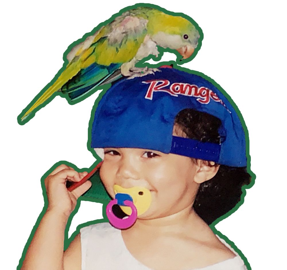 A child of about two years old, sucking on a yellow, blue, and pink pacifier, and wearing a too-big blue Rangers ballcap sideways. A ruffled feathered parrot with a brown beak stands on top of the child's head (on her hat.) 