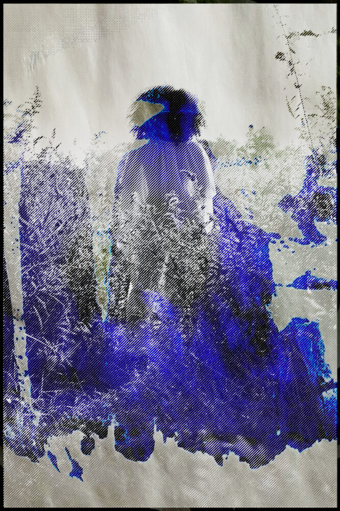 back view of a figure with curly hair in a field with blue splotches distorting the image