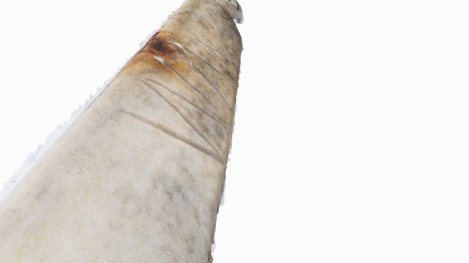 3D model created from composite images of the bone-handled toothbrush.