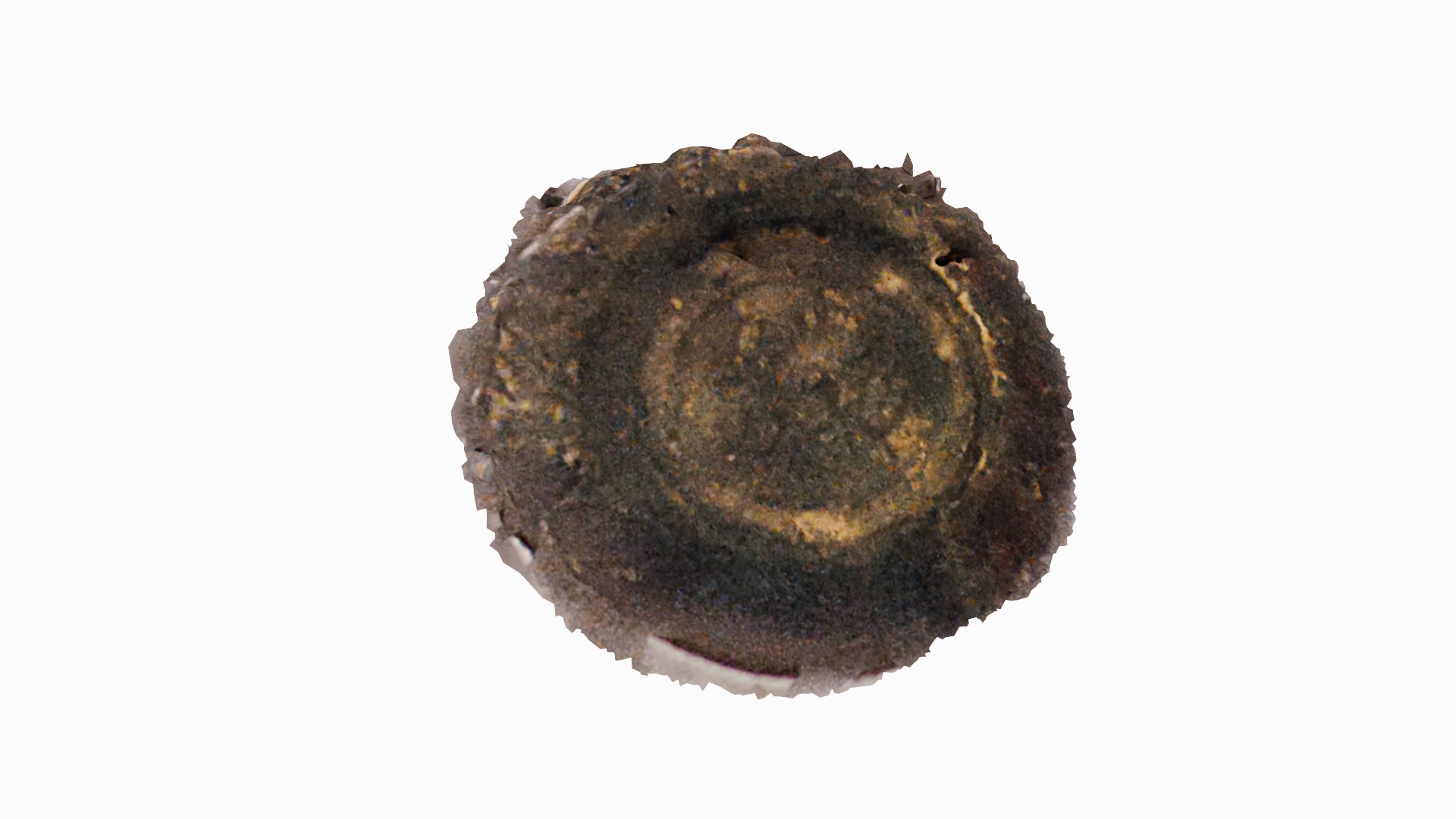 3D model created from composite images of the Copper alloy button.