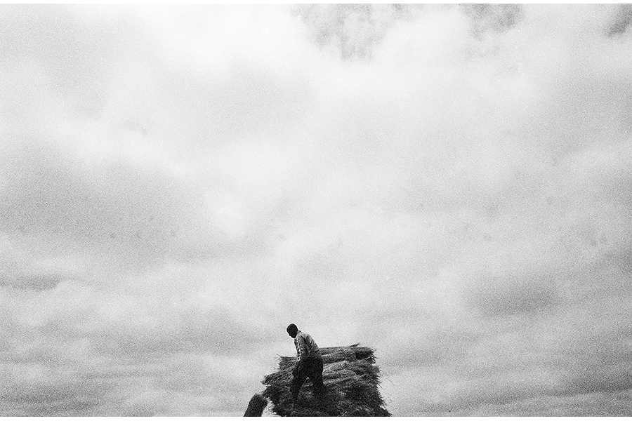 A man atop a pile of wheat in the lower third of the frame; the upper two thirds full of sky.