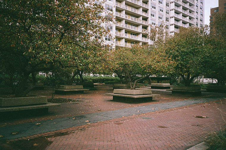Photograph of red brick courtyard with potted trees, white brick residential buildings in background