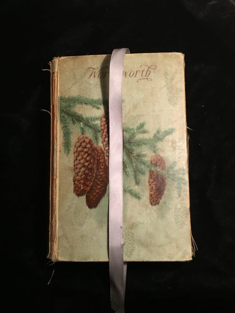 A copy of Poems of Wordsworth: a worn book with a drawing of pinecones on its front cover; a pale pink ribbon bookmark hangs over the cover. 
