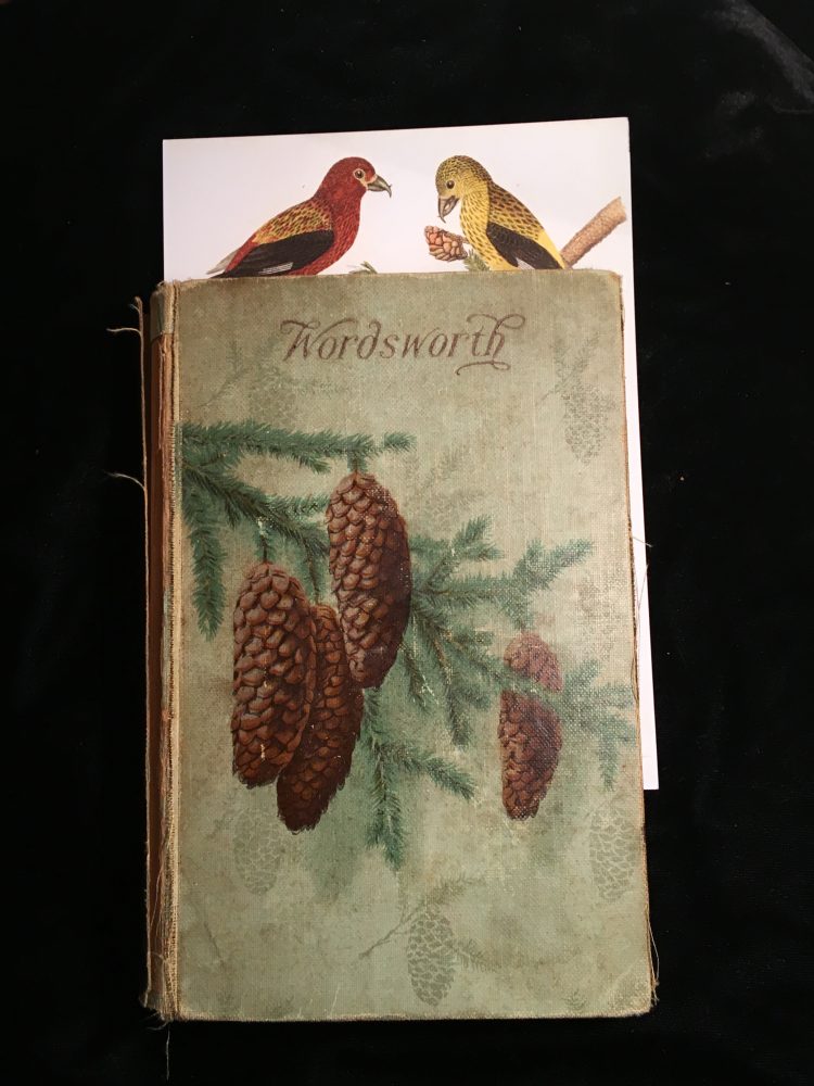Poems of Wordsworth, now with a postcard with an image of a yellow and red bird used as a bookmark. 