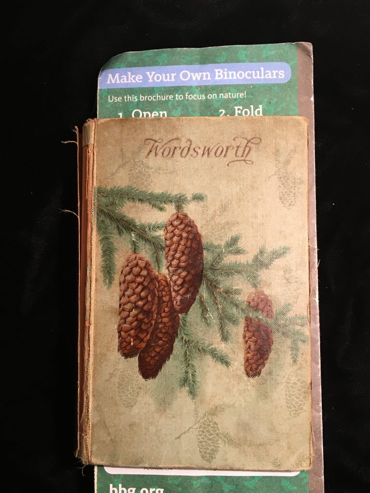 Poems of Wordsworth with a bookmark of a "make your own binoculars" pamphlet protruding from the top and bottom. 