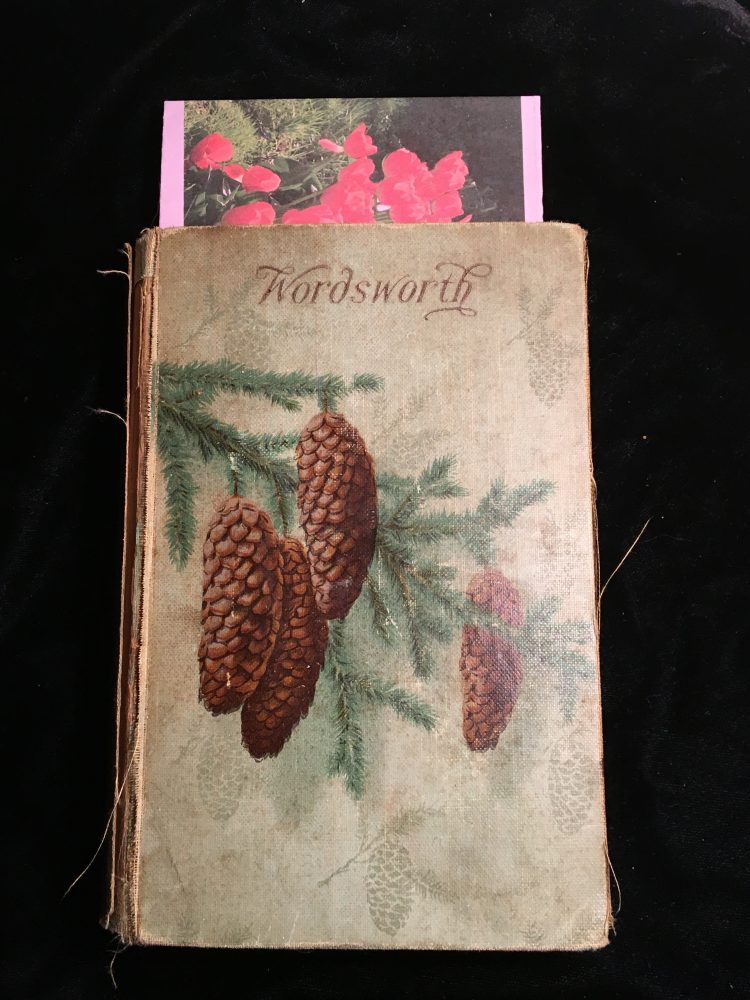 Poems of Wordsworth with a bookmark of a postcard with a picture of bright red flowers. 