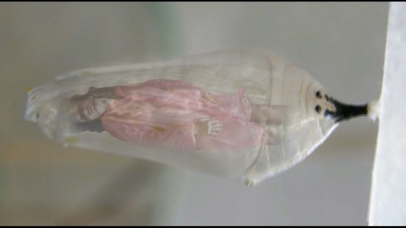 A close-up of a chrysalis with a human form inside. 