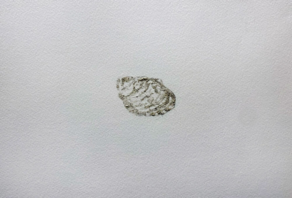 Large organic object resembling an oyster. The main body is a bumpy circle with a triangular shape coming off the top right side. There is a shadow coming off the top. Light brown and gray lines and shading throughout to generate texture. Many shell fragments in the paint.